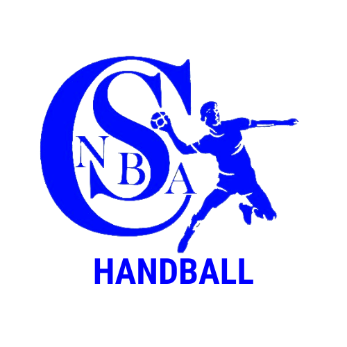 Logo CSNBA Bleublanc(1)